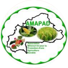 Lire la suite à propos de l’article AMAPAD – Association Ma Wouro-Bi pour la Promotion d’une Agriculture Durable